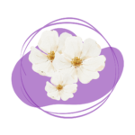 Bach Flower Remedies